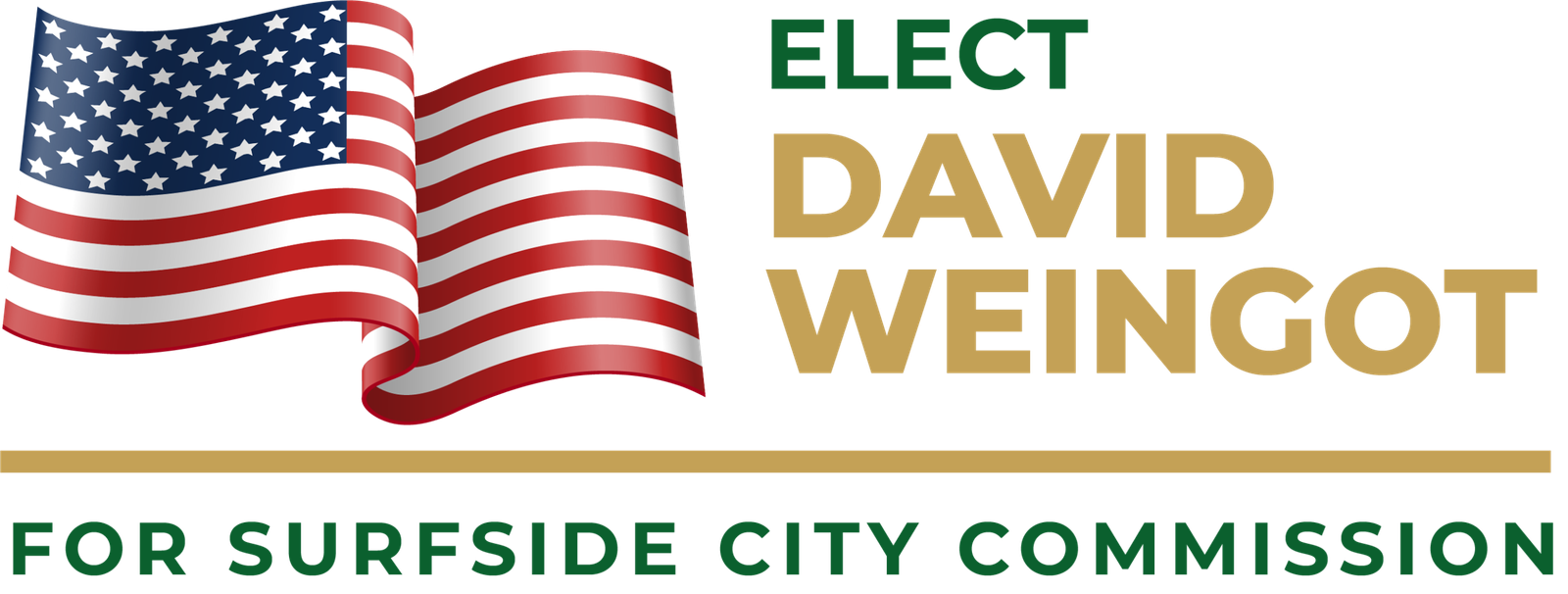 david.myiqsolutionsllp.in